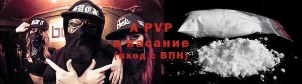 стаф Аркадак