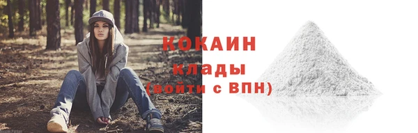 стаф Аркадак