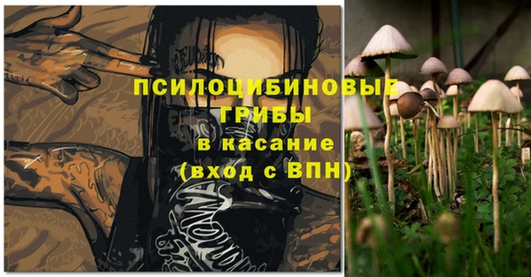 гидра Балахна
