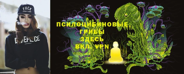 мескалин Арсеньев