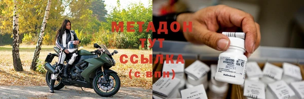 стаф Аркадак