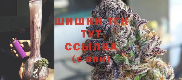 стаф Аркадак