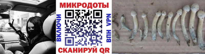 Галлюциногенные грибы Magic Shrooms  Шелехов 